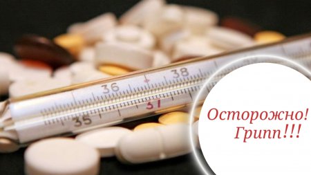 Эпидемический сезон по гриппу и ОРВИ 2019-2020 гг.