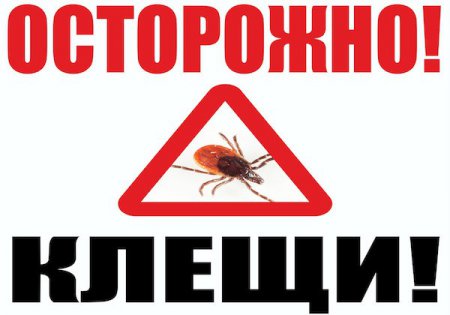 О предстоящем сезоне активности клещей
